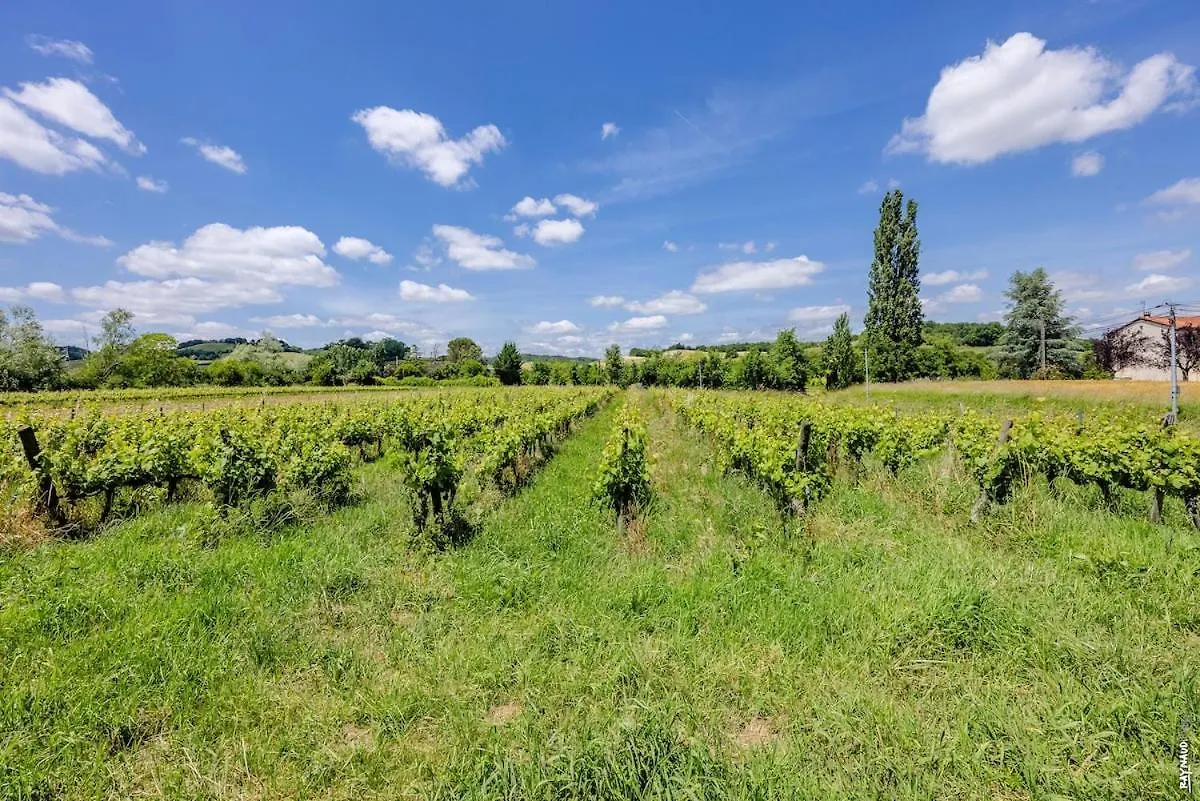 Tatil Evi Le Gite De La Grappe - Terrasse - Gaillac