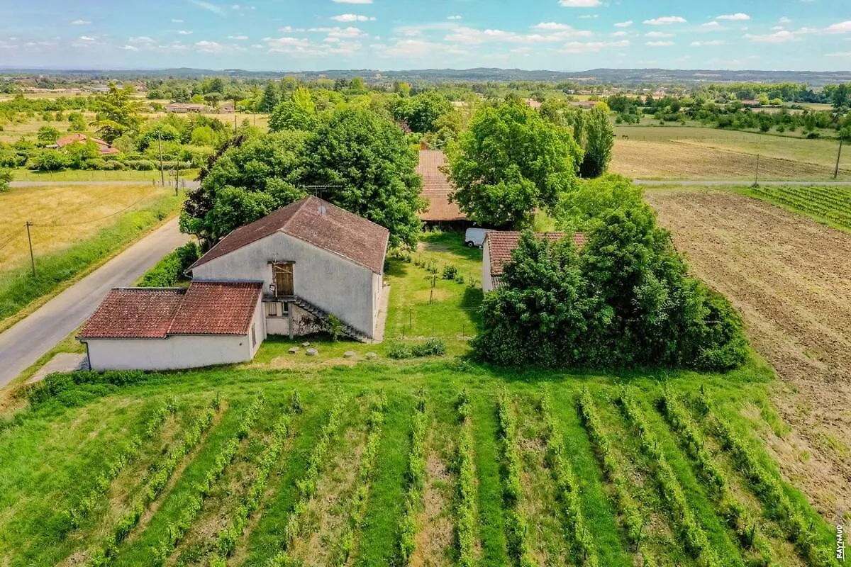 Le Gite De La Grappe - Terrasse - Gaillac